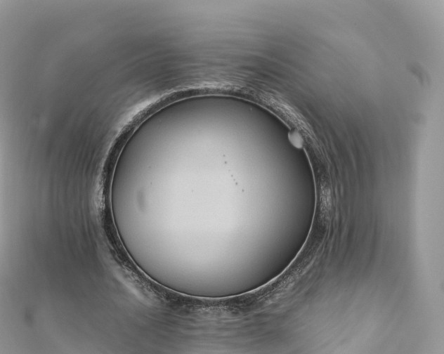 X0000111860628200907301132