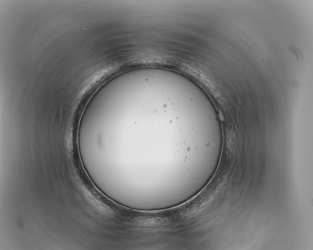 X0000111860629200907301132