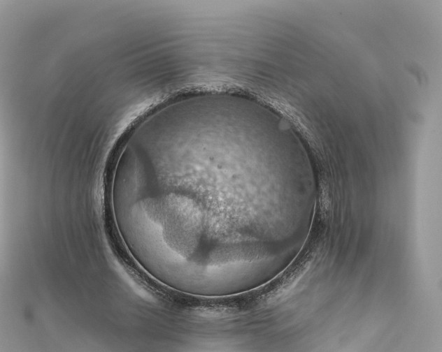 X0000111860630200907301132