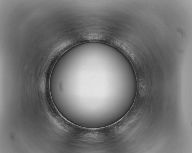 X0000111860631200907301132