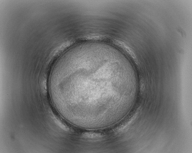 X0000111860633200907301132