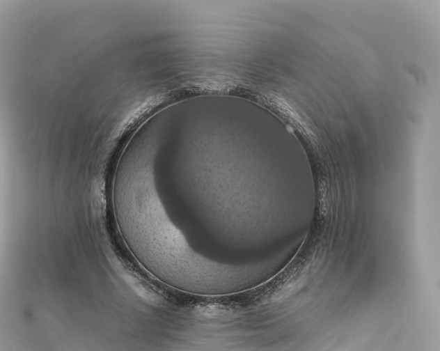 X0000111860634200907301132