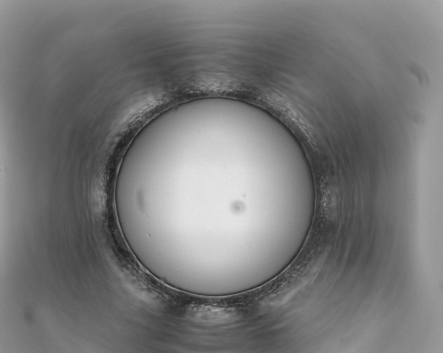 X0000111860635200907301132