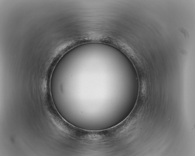 X0000111860636200907301132