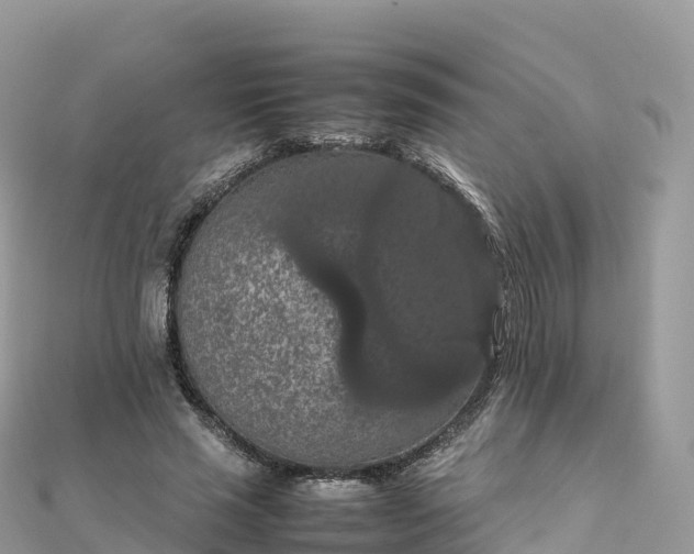 X0000111860637200907301132