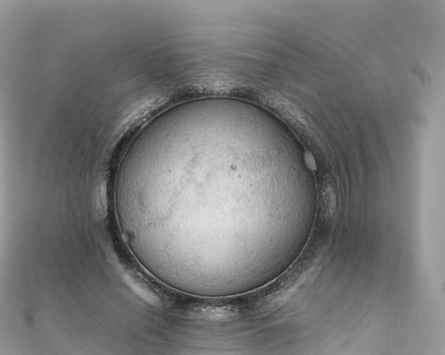 X0000111860638200907301132