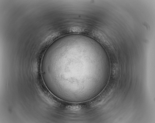 X0000111860639200907301132