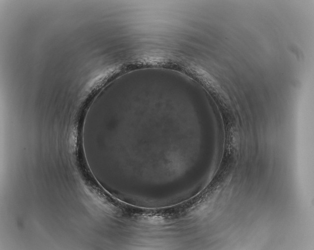 X0000111860640200907301132