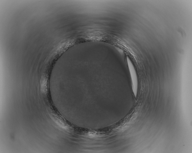 X0000111860641200907301132