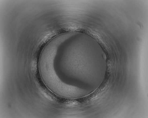 X0000111860642200907301132