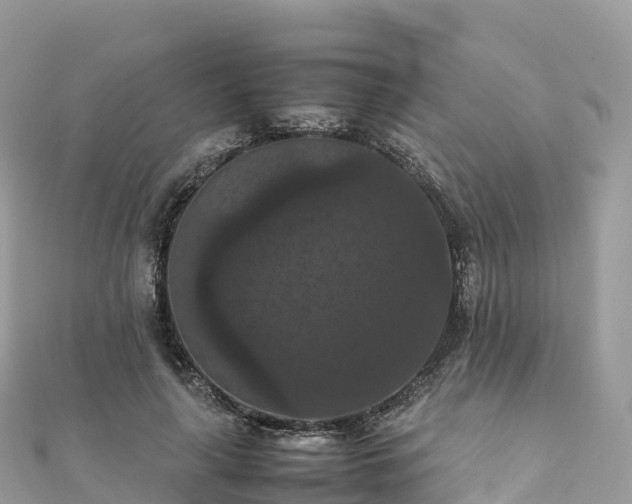 X0000111860643200907301132