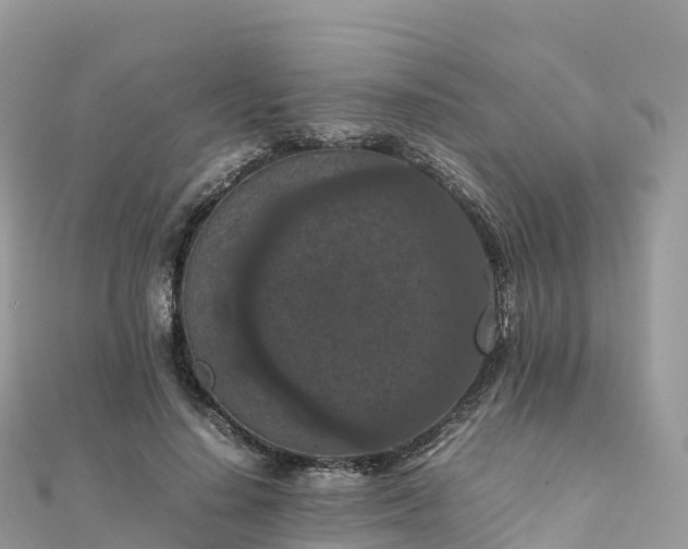 X0000111860644200907301132