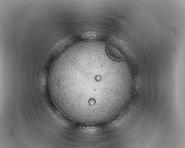 X0000111860645200907301132