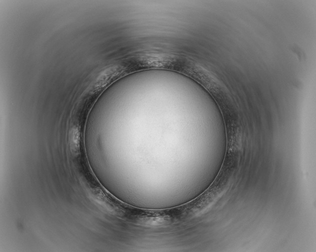 X0000111860646200907301132