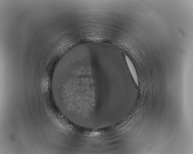 X0000111860647200907301132