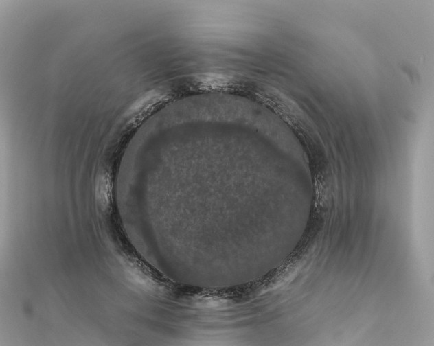 X0000111860648200907301132