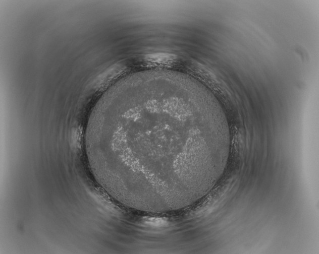 X0000111860649200907301132