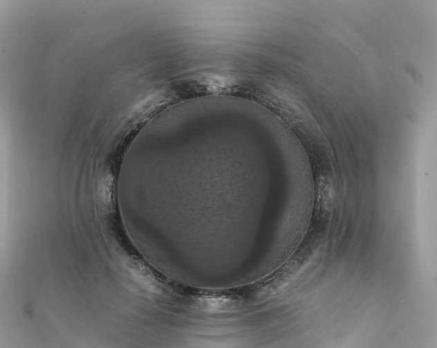 X0000111860650200907301132