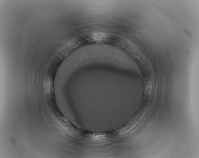 X0000111860651200907301132