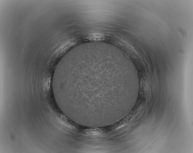 X0000111860652200907301132