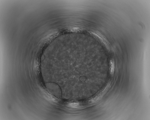 X0000111860653200907301132