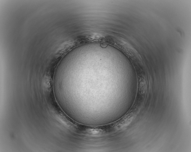 X0000111860654200907301132