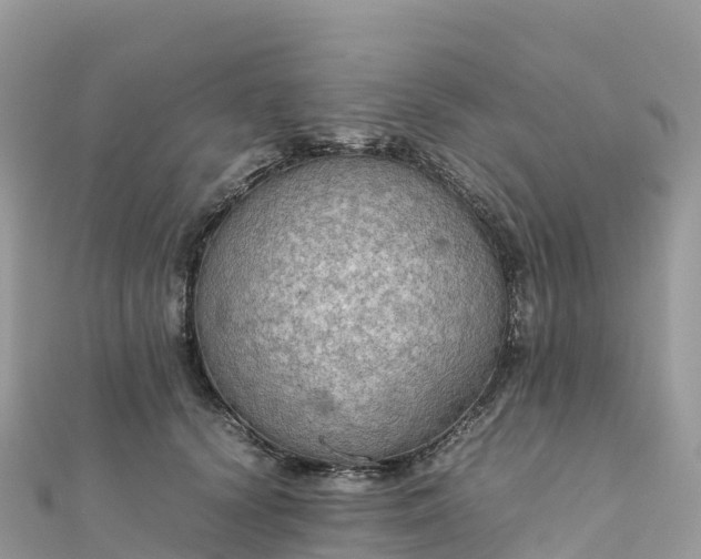 X0000111860656200907301132