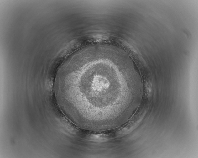 X0000111860657200907301132