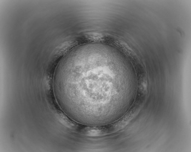 X0000111860658200907301132