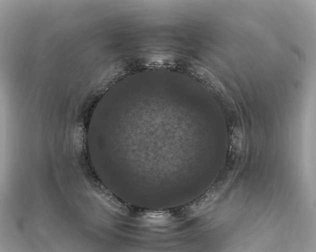 X0000111860659200907301132