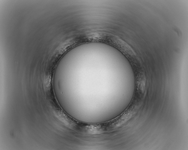 X0000111860660200907301132