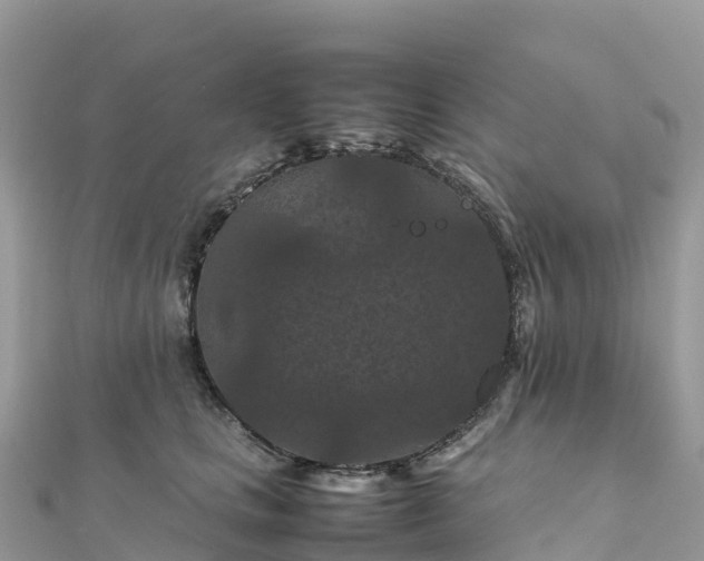 X0000111860661200907301132