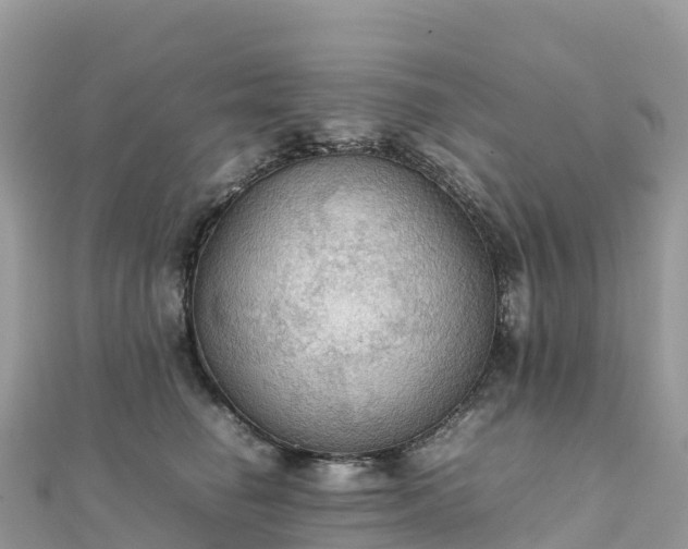 X0000111860662200907301132