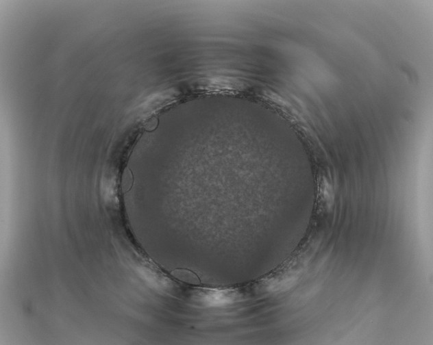 X0000111860663200907301132