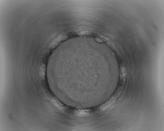 X0000111860664200907301132