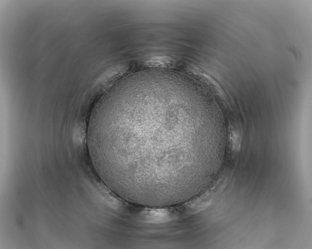 X0000111860665200907301132