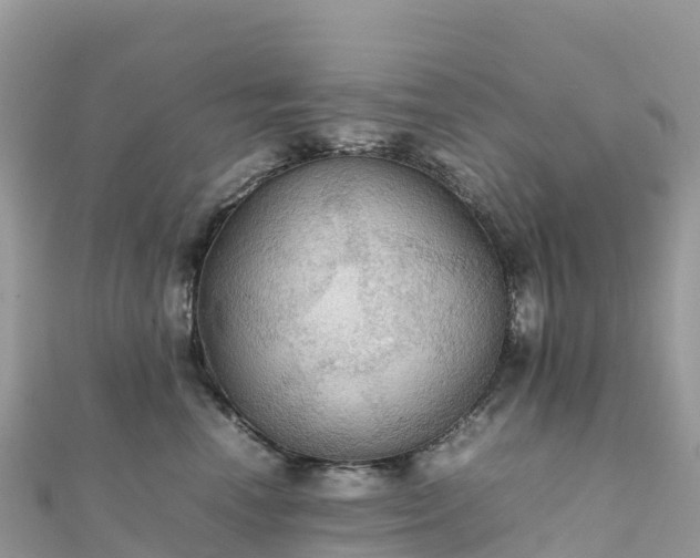 X0000111860666200907301132