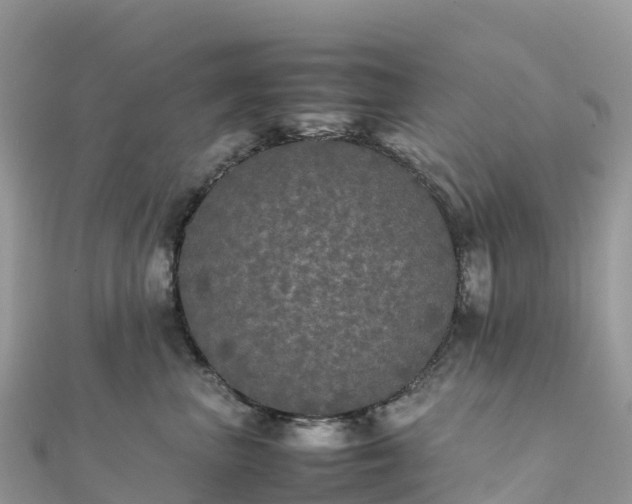 X0000111860667200907301132