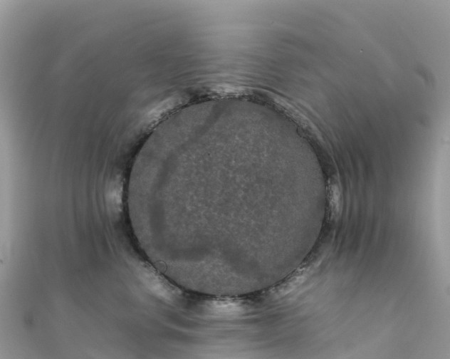 X0000111860668200907301132