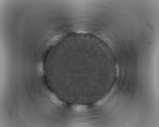 X0000111860670200907301132