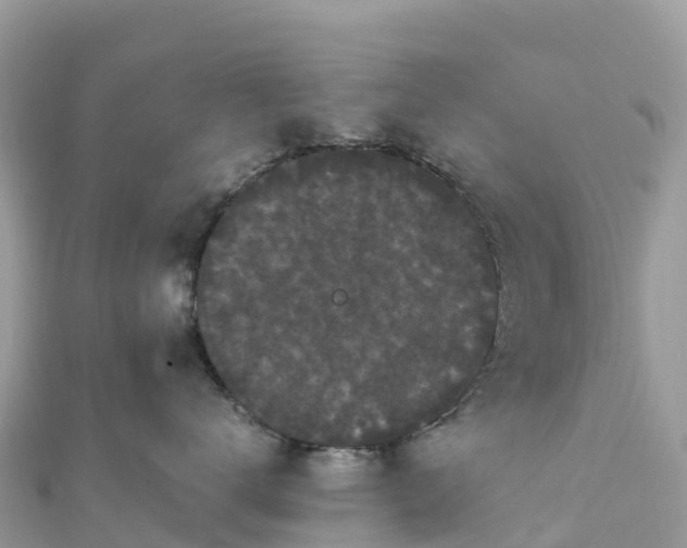 X0000111860672200907301132