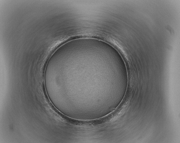 X0000111860673200907301132