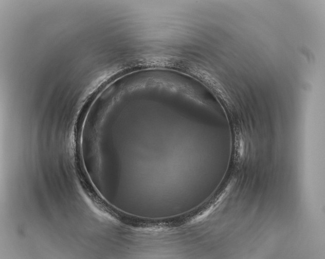 X0000111860674200907301132