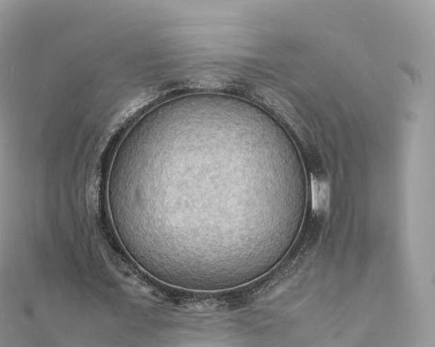 X0000111860675200907301132