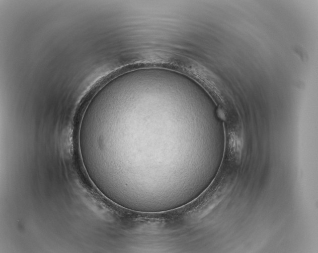 X0000111860676200907301132