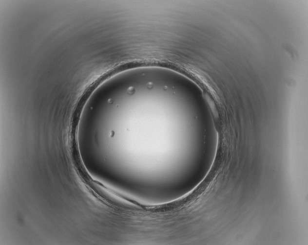 X0000111860677200907301132