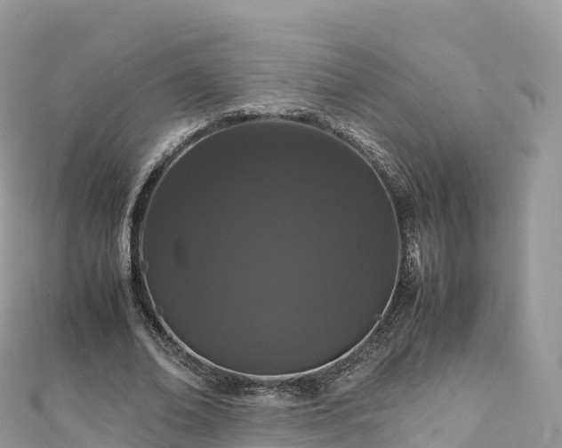 X0000111860678200907301132