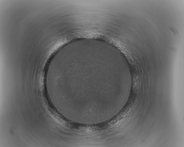 X0000111860679200907301131