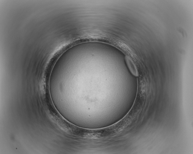 X0000111860680200907301131