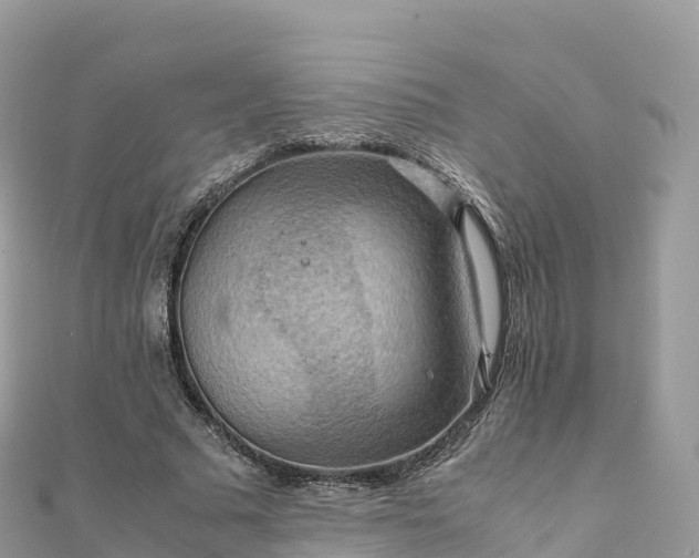 X0000111860681200907301131